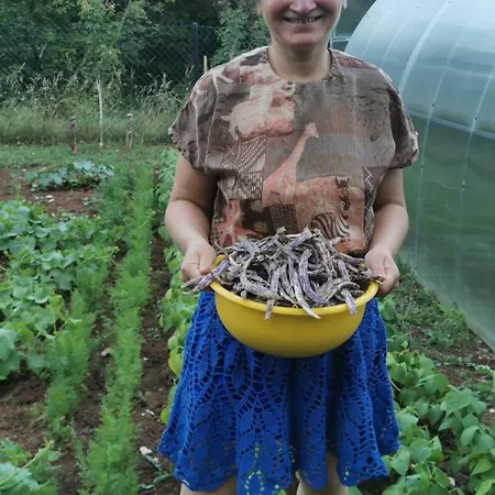 Bora Moscenicka Draga Nocleg ze śniadaniem Moscenice