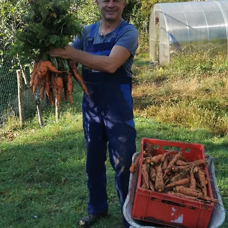 Bora Moscenicka Draga Bed & Breakfast 4*