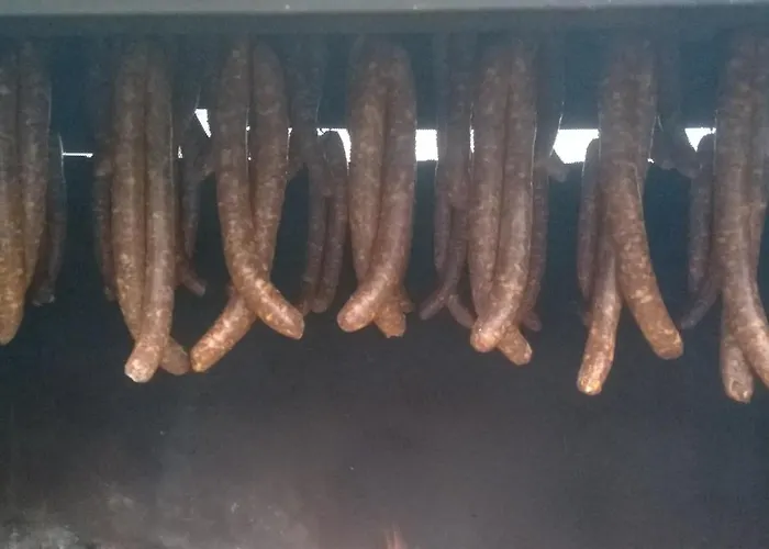 Bed and breakfast Bora Moscenicka Draga