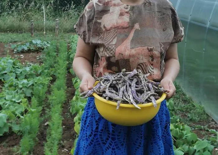 Bora Moscenicka Draga Couette-café Moscenice