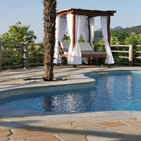 Bora Moscenicka Draga